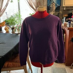 Hanes Women's Rich Purple Crew Neck Sweater